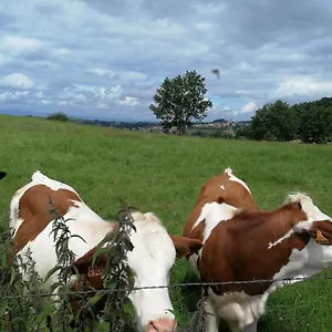 Séjour chez l'habitant D'hôtes Les Myriades D'or France